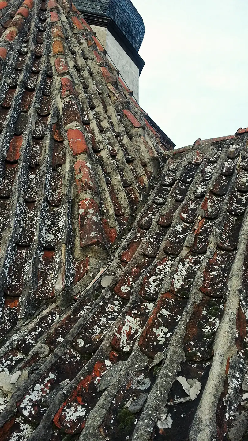 Copper roof structure with vertical supports viewed from above with scaffolding and trees in background.